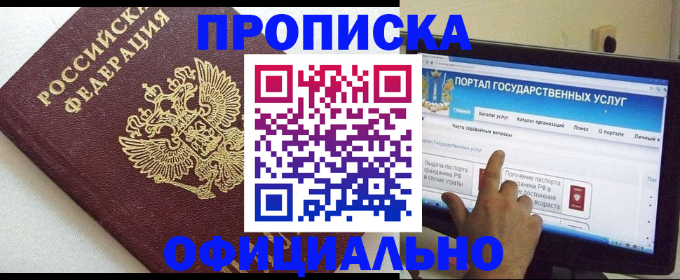 временная регистрация госуслуги в Щёлково